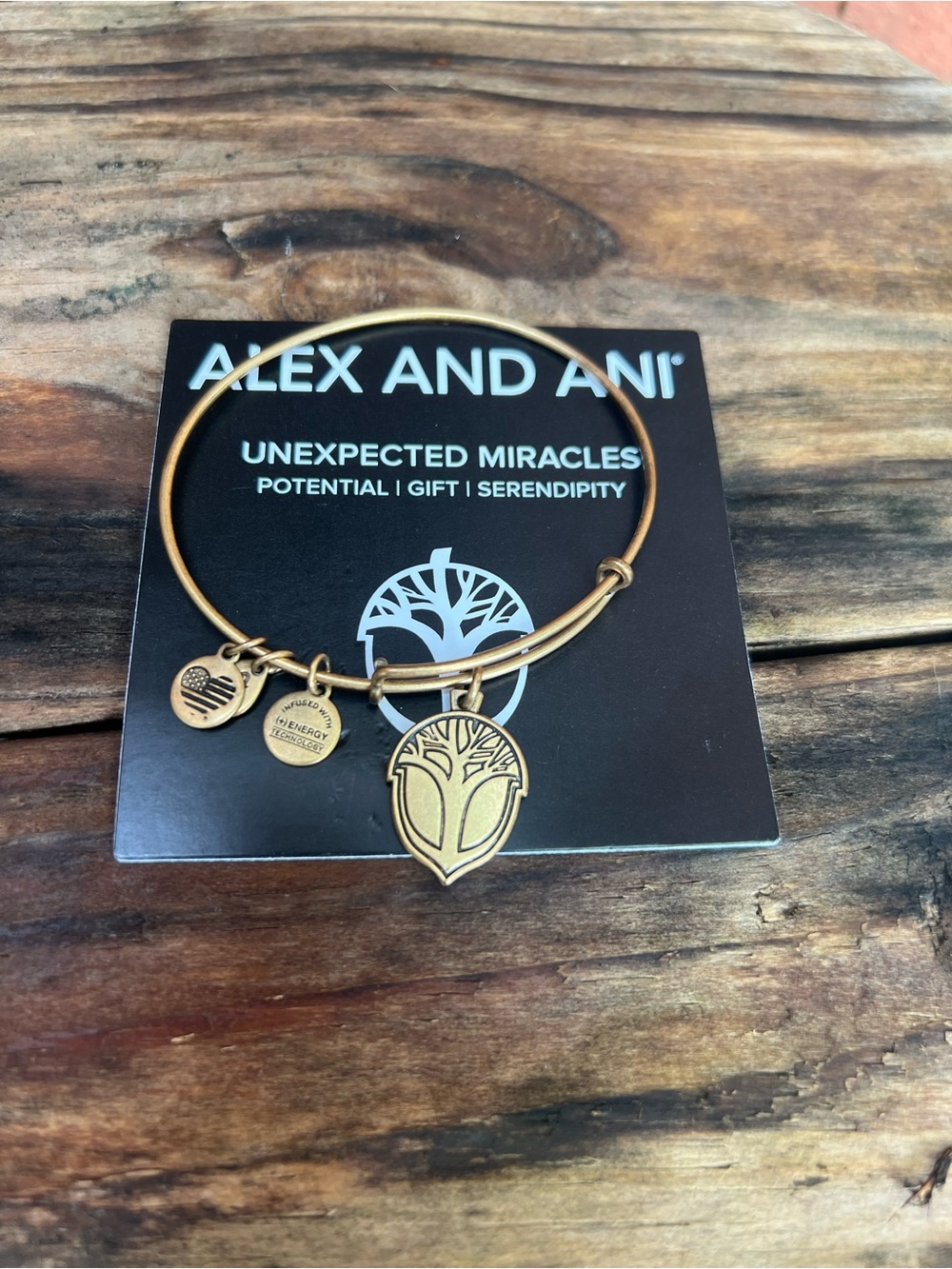 Alex and Ani Unexpected Miracles Bronze Charm Bangle Bracelet
